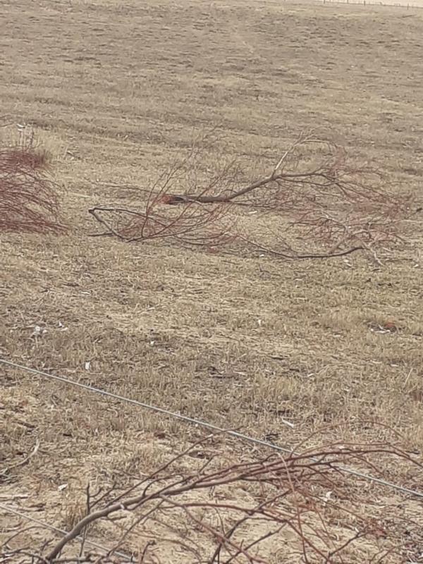 1 Bedroom Property for Sale in Riversdale Western Cape